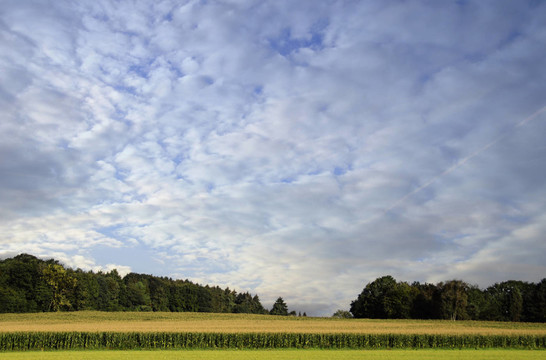 wolkenflug