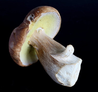 笑的CEP