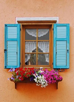 blumenfenster
