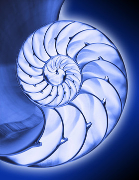 藍(lán)