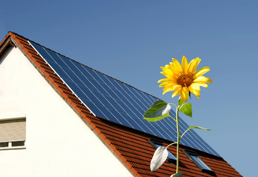 向日葵屋頂上的太陽能電池板