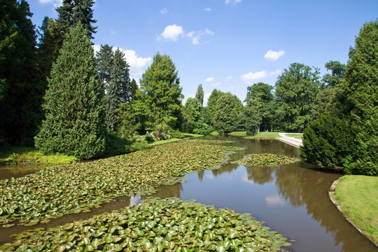 公園