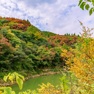 西廂紅葉