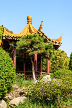 綠博園園林景觀
