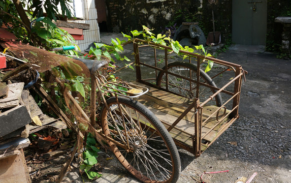 廢棄的三輪車