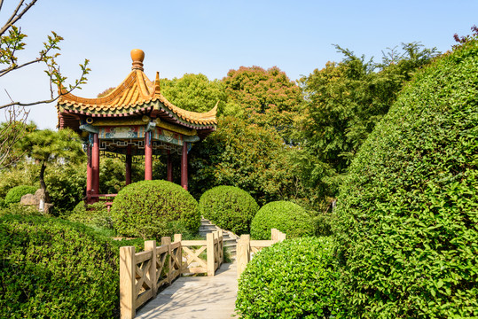 綠博園園林景觀