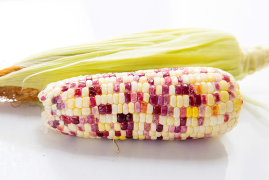 玉米 農(nóng)家玉米 生玉米