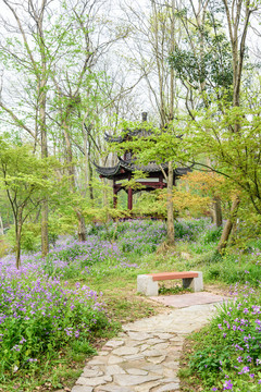 中山植物園園林景觀