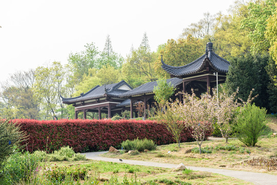 園林景觀