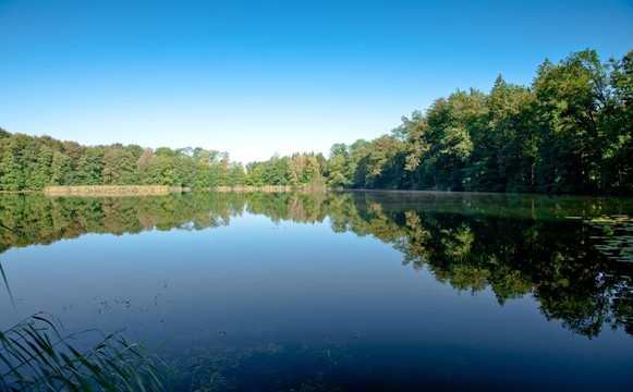 早上egelsee