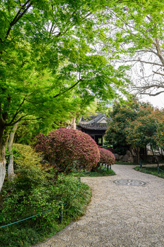 園林景觀