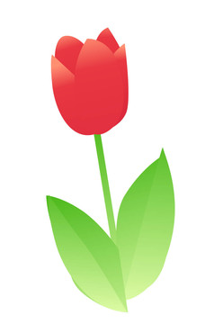 花卉