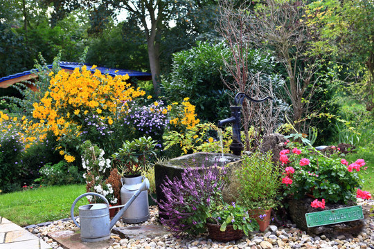 schwengelpumpe and trough in the garden