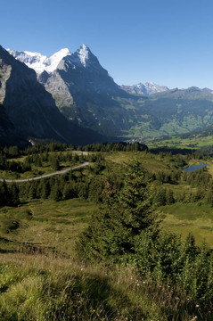 great scheidegg