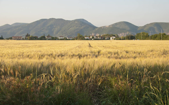 藍(lán)