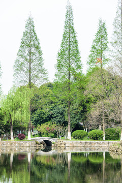 湖邊美景