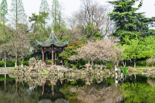 湖邊美景