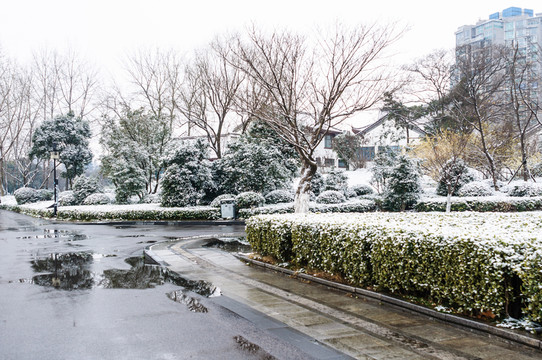 湖畔雪景
