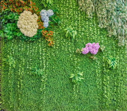 高清 花卉綠植背景墻