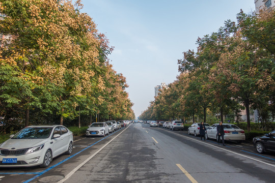 城市道路