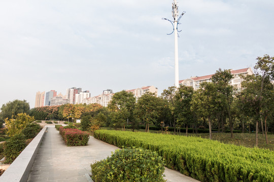 公園小徑