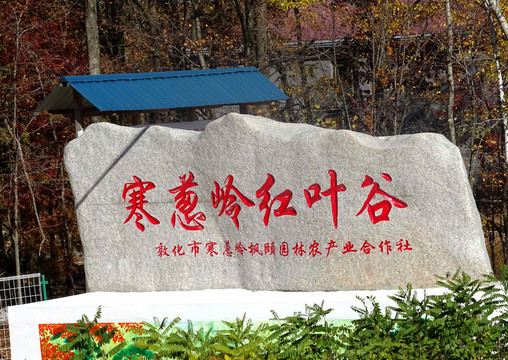 景觀石