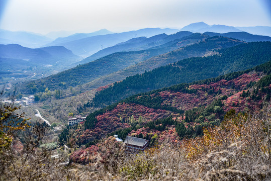 紅葉