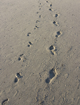 walk