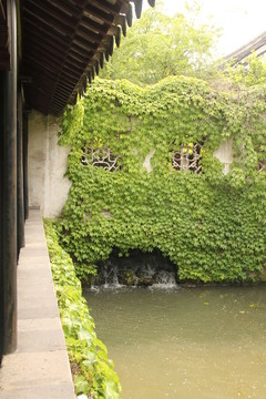 拙政園