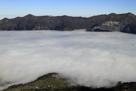 nebelmeer