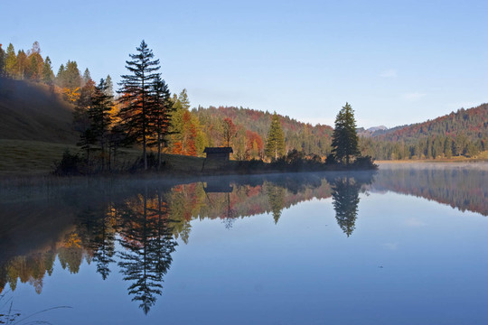 清晨ferchensee