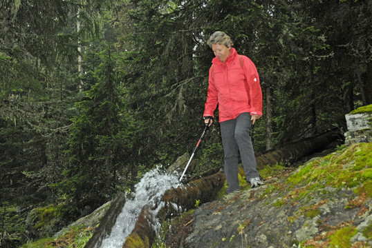 marteller holzrinnenwaal