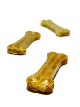 狗啃骨頭