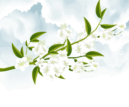 植物學(xué)