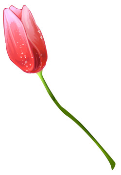 花卉