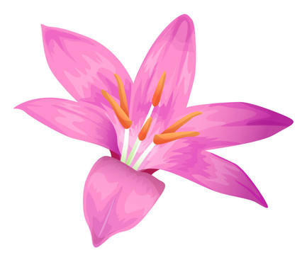 花卉