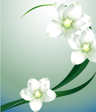 花卉