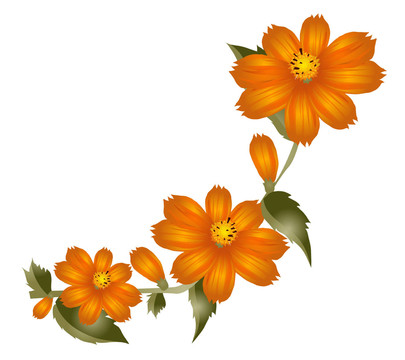 花卉