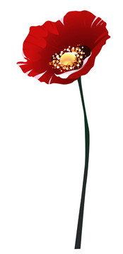花卉