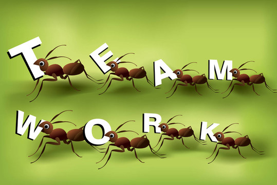 teamwork