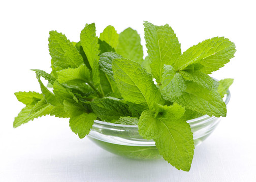 薄荷
