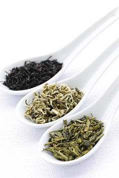 茶