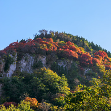山嶺秋色