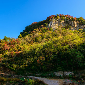 大山秋色