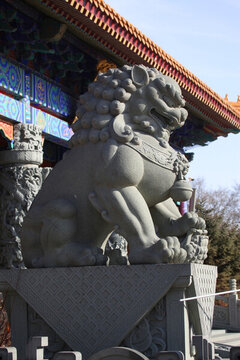 浮雕 雕塑 獅子