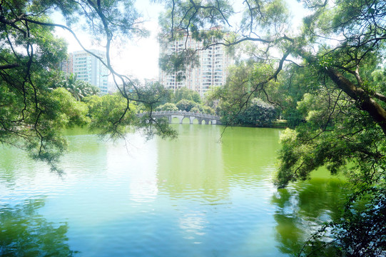 湖泊池塘風(fēng)光