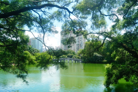 湖泊池塘風(fēng)光