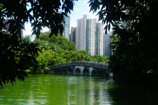 湖泊池塘風(fēng)光
