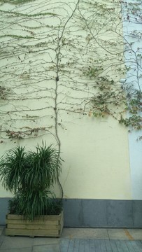 哈爾施塔特小鎮(zhèn)