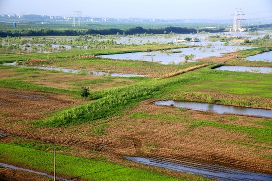 淮南淮河岸邊濕地